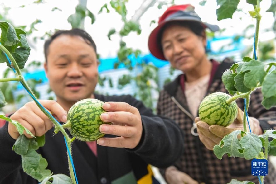 乖我们换个姿态再来一遍吧表情包
