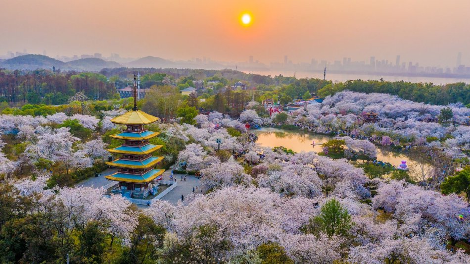 亚洲社区