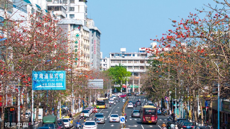 91精品国产乱码久久久张津瑜