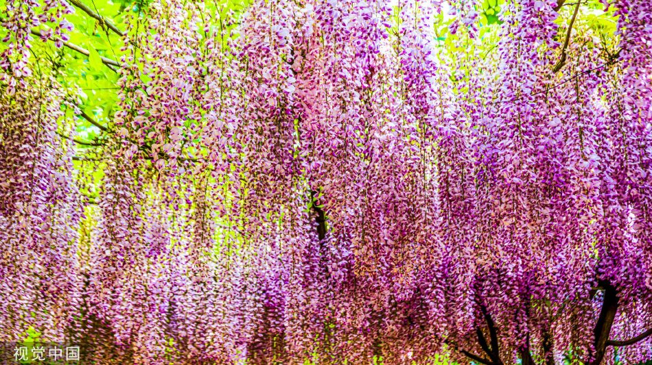 黄漫