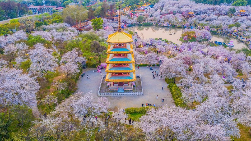 老师家访
