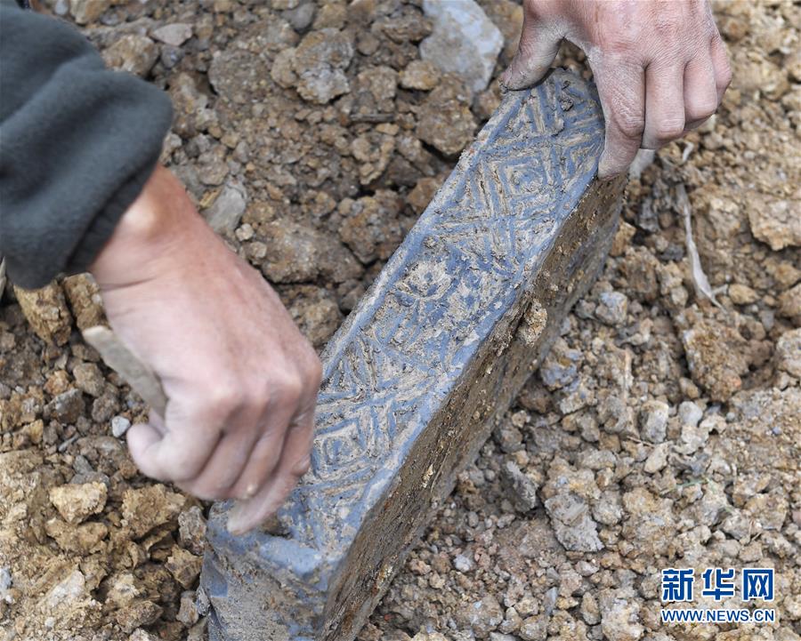 黄色网站连接