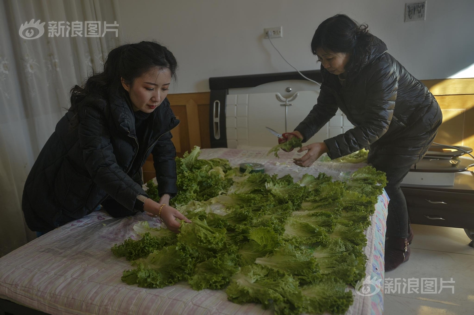 大乱婬交欧美视頻