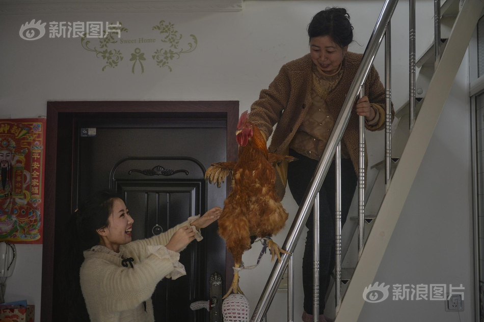 男仆撑开 让人玩弄