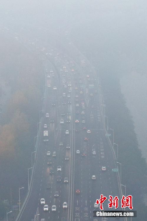 3级黄片在线