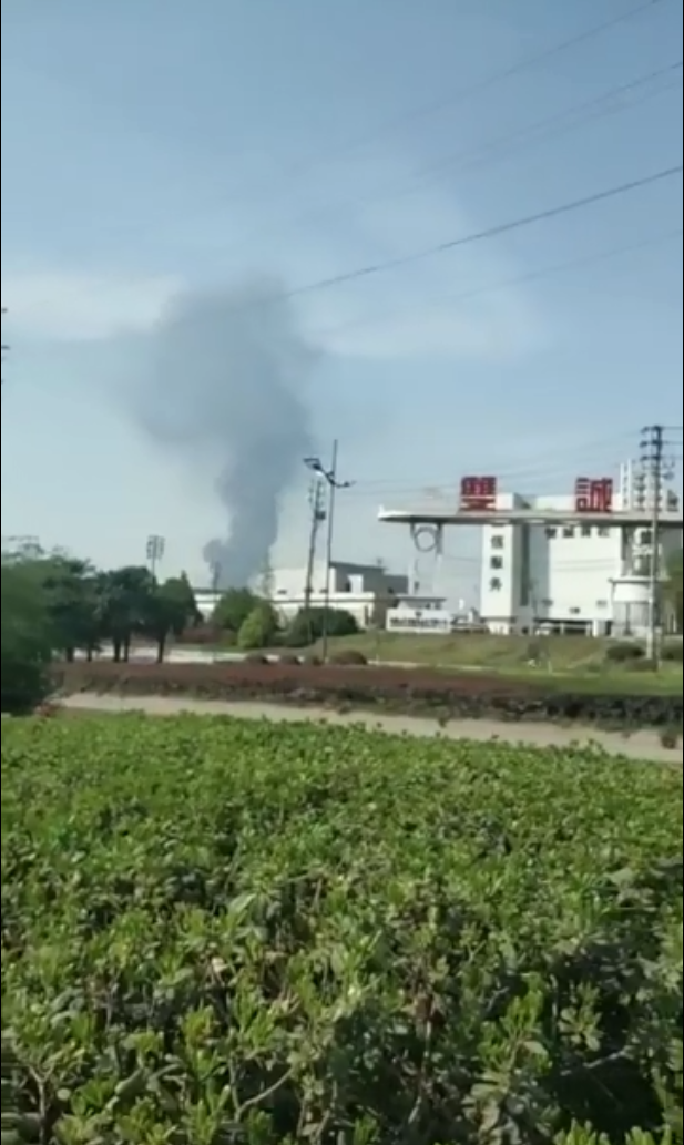 俄罗斯性Videosfreex性派对
