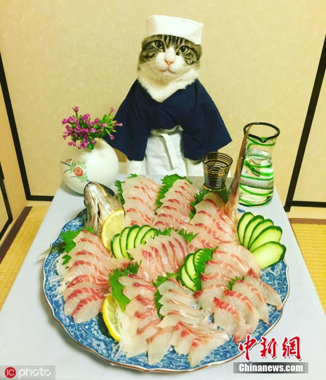 老熟妇乱伦视频