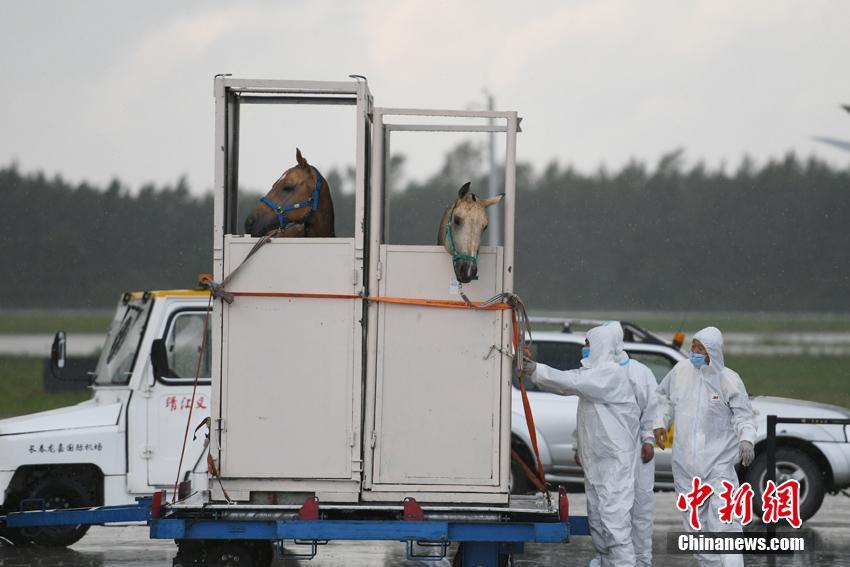 国内毛片毛片毛片毛片毛片毛片毛片毛片毛片毛片毛片毛片