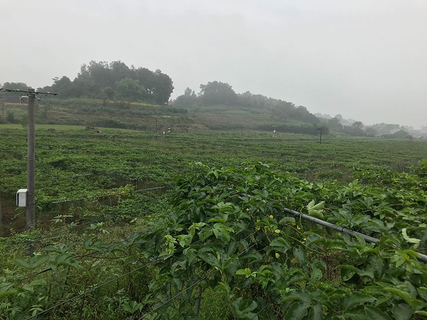 97成人做爰A片无遮挡直播