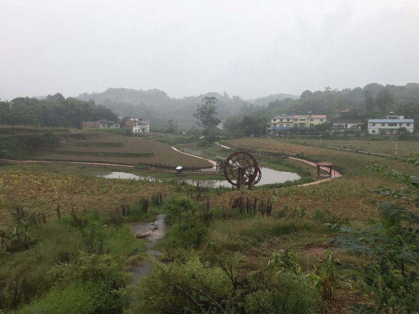给我播放个免费的黄片