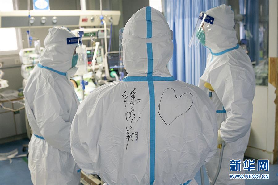 141 成人 网