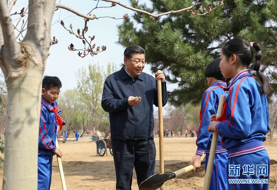 8 8 海外华人免费一区