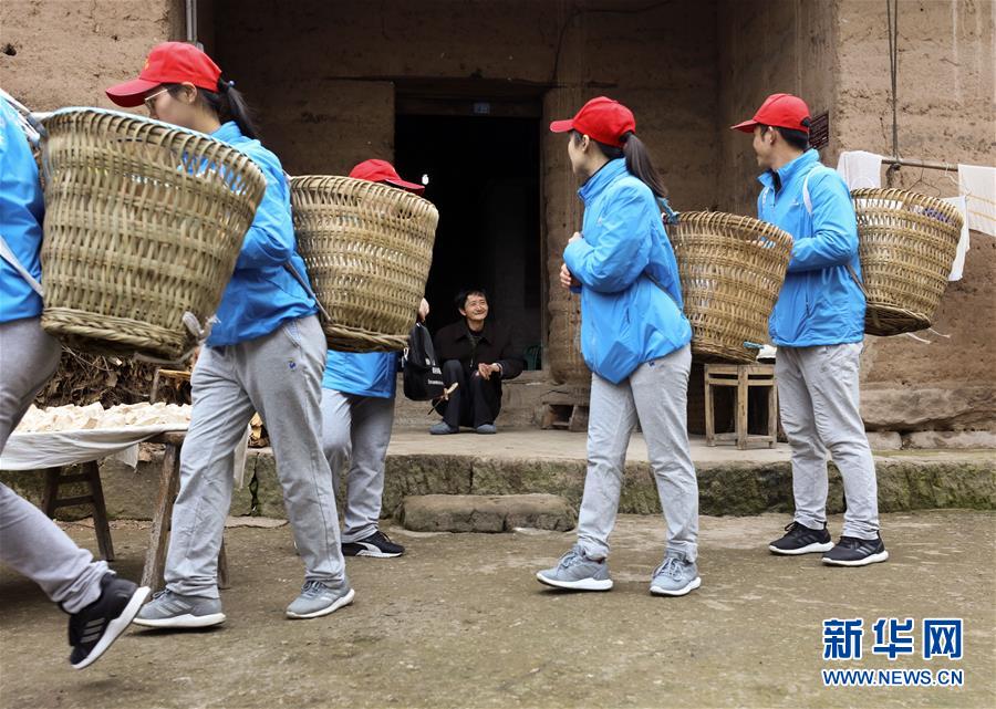 一级片黄色