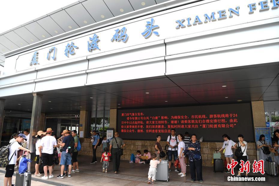 张柏芝陰唇毛很长