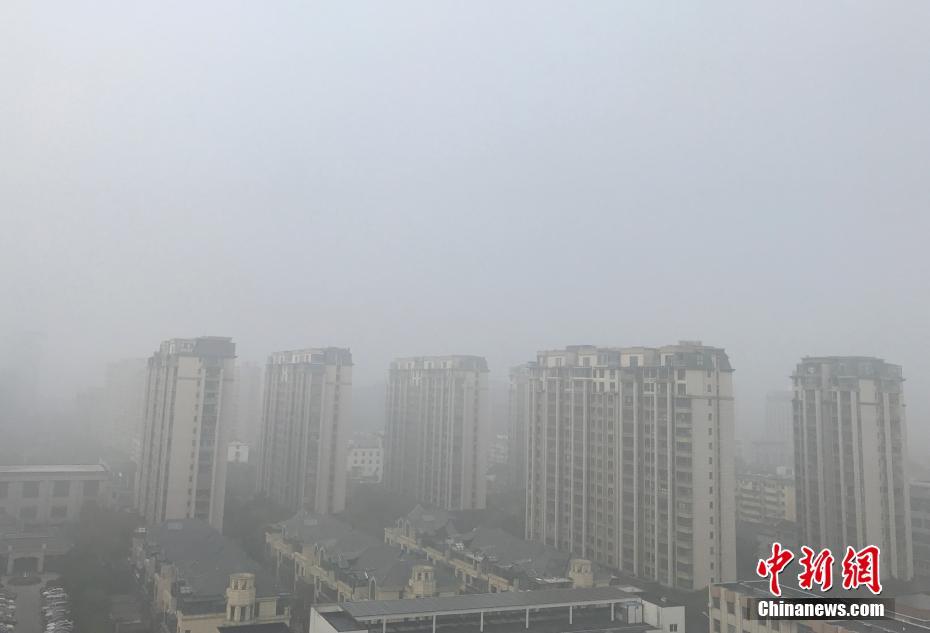丰满的少妇XXXXX极品林志玲