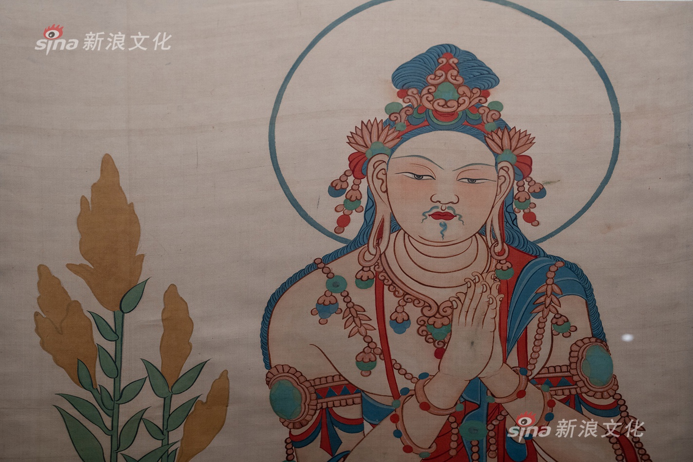 一级黑人黄片性生活