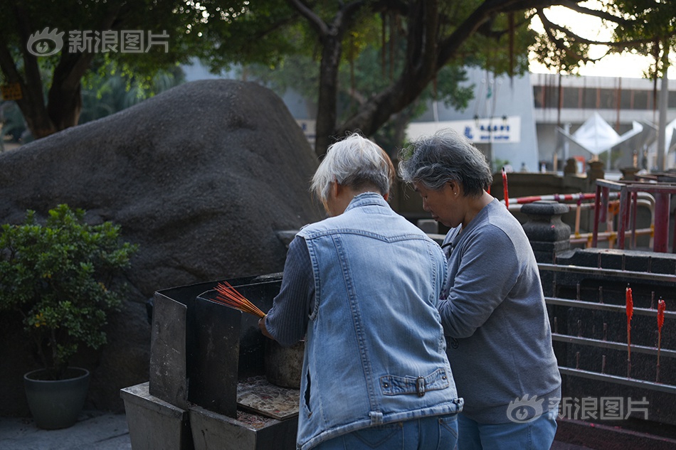 性爱淫叫无码