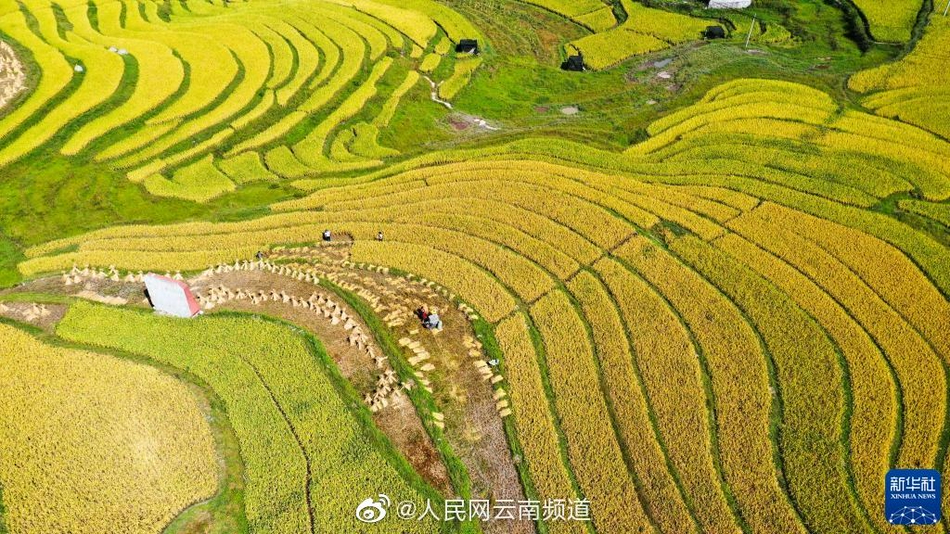 国产一级黄色电影