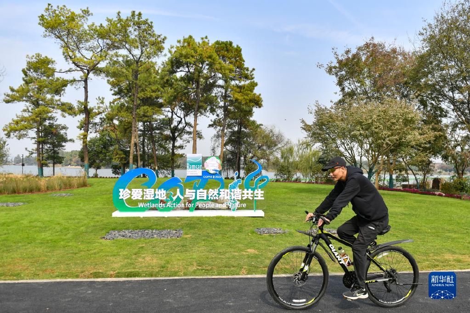 美欧系列内射