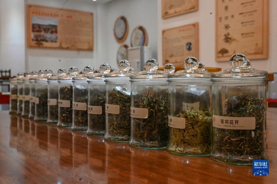 免费黄色在线网站软件网站