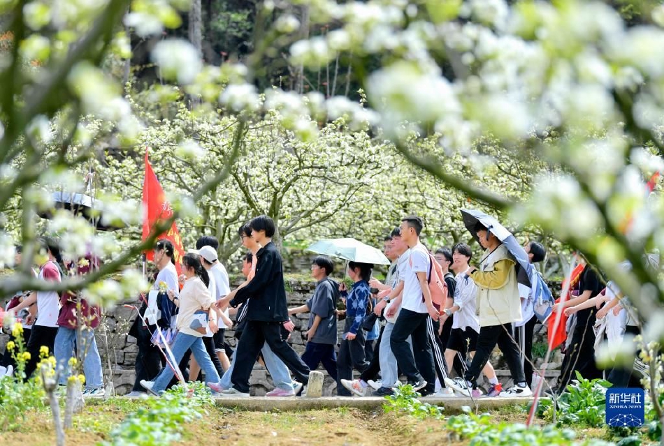 黄色小视频下载什么