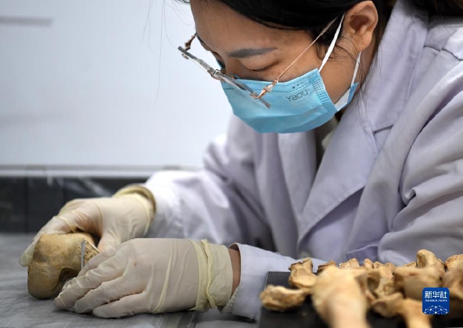 po18心跳小说网