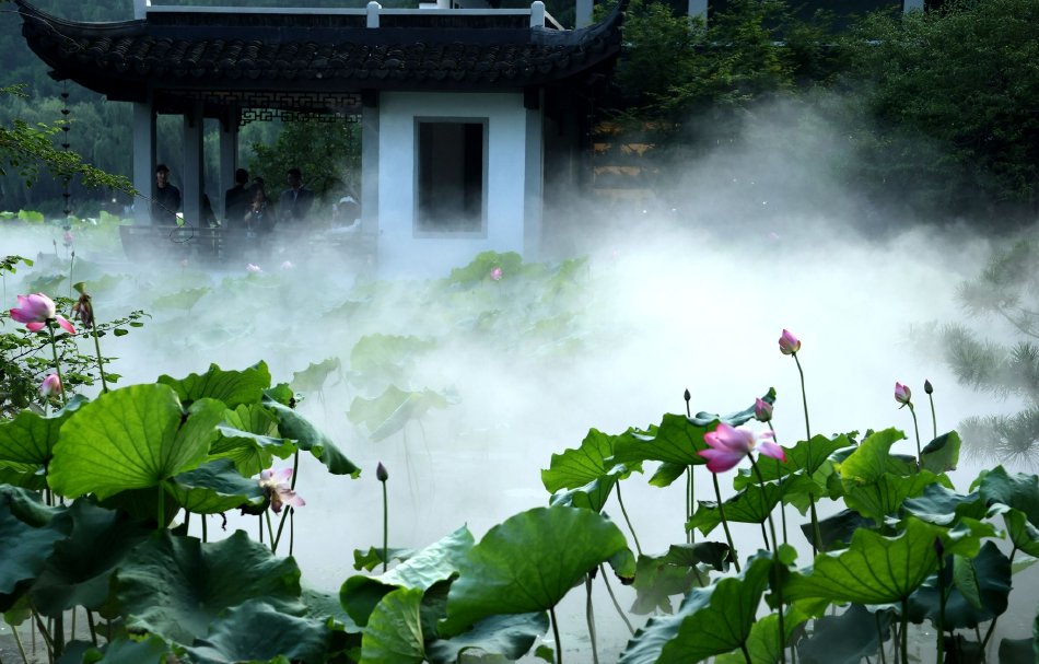 久草欧美性爱三级片