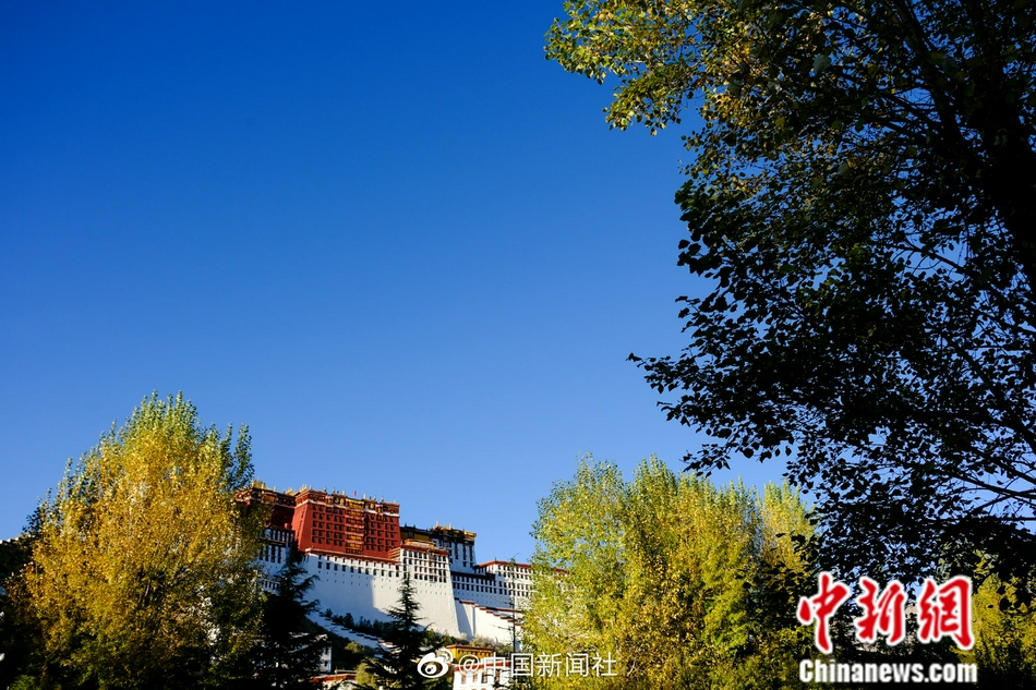 性爱 无码