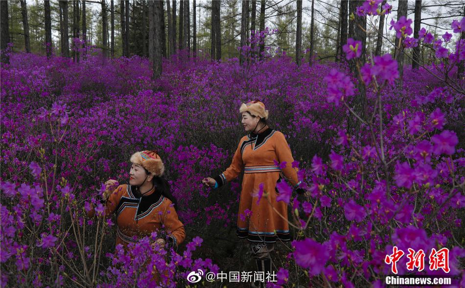 线上看色色网站