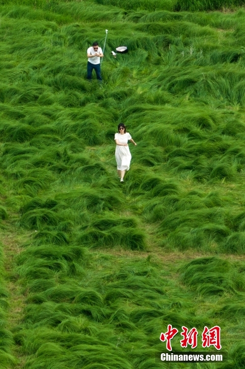 電影真槍實彈