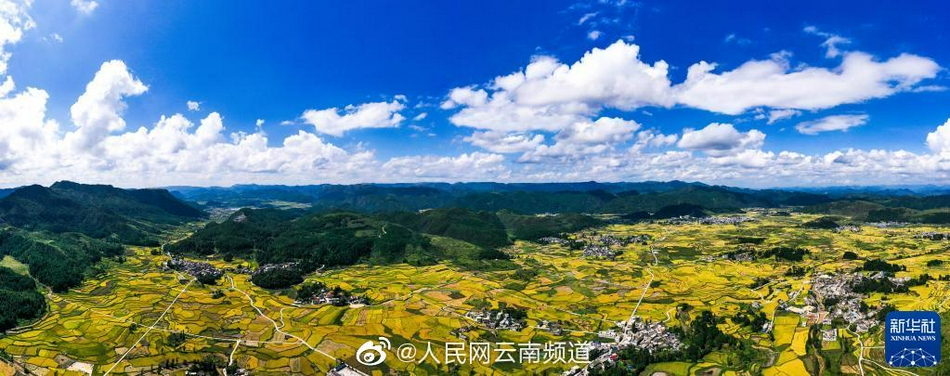 波多野吉衣一区二区