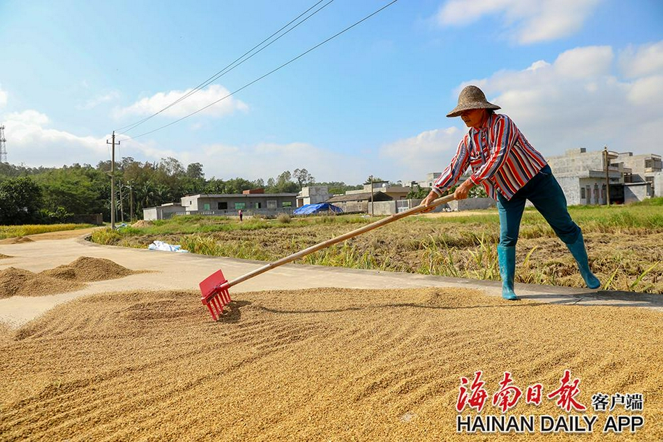 hjb5168海角最新网名