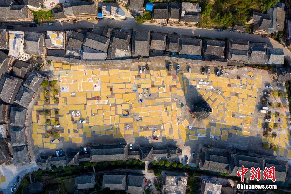 彎屌