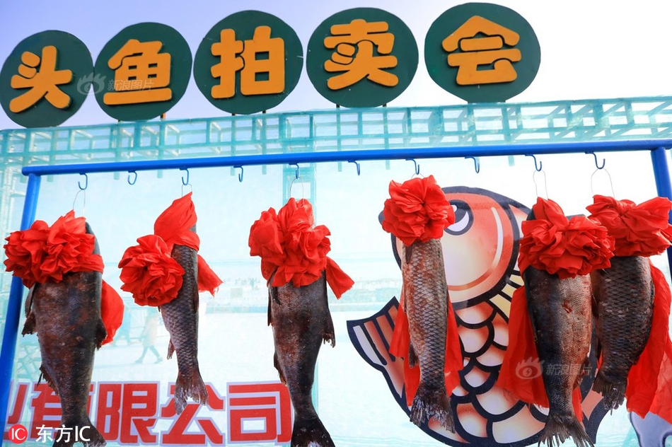 男男舔白袜