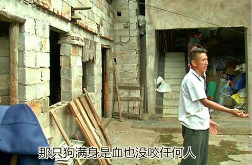 女性脱 给我揉 游戏