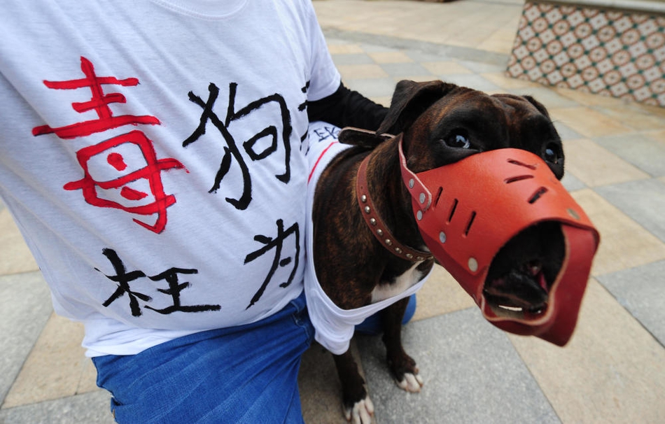 激情综合五月