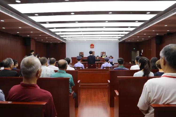 大型庐剧现代戏《西庐弯弯》剧本论证会举行