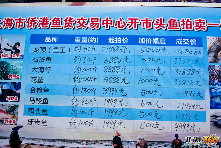 9精品内射60老女人硅胶女