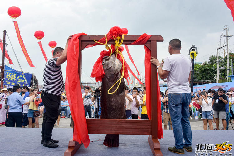 杨紫想和马天宇炒CP被拒？马天宇亲自下场为好友辟谣