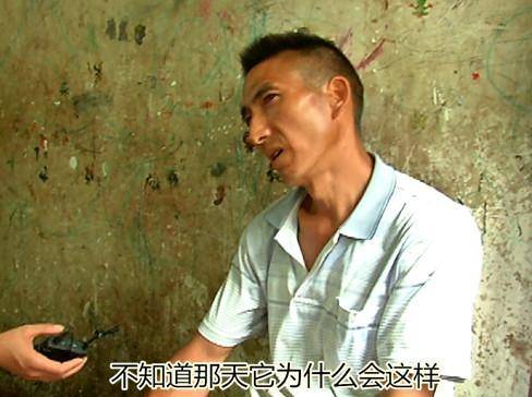 韩国Hd高清Xxxx视频