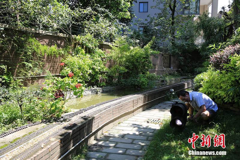 边吻奶边挵进去gif动态图免费