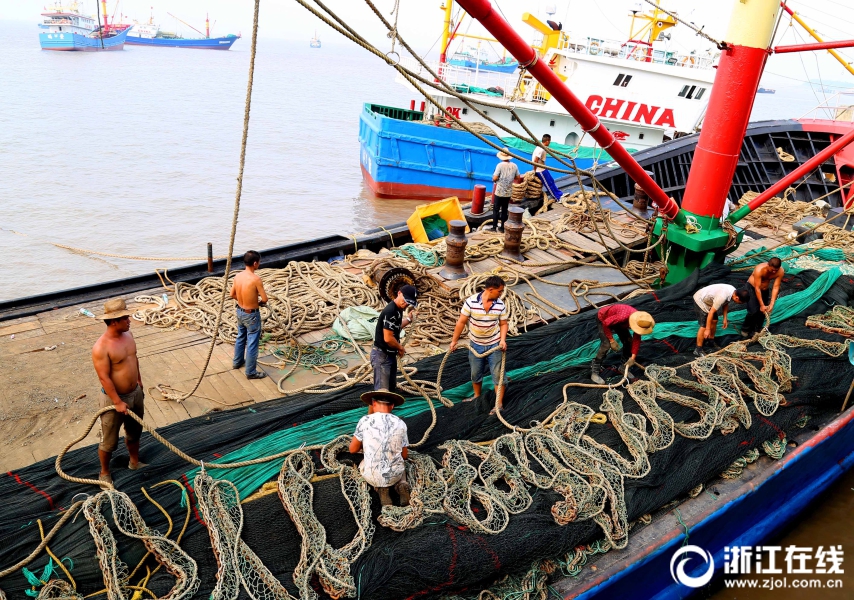 巔峰之戰：探索DG百家樂獨家奧秘，打造您的線上豪賭傳奇 