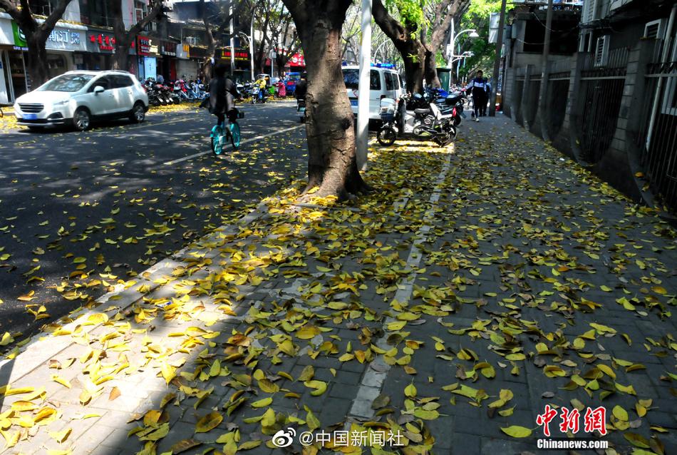 相澤唯衣