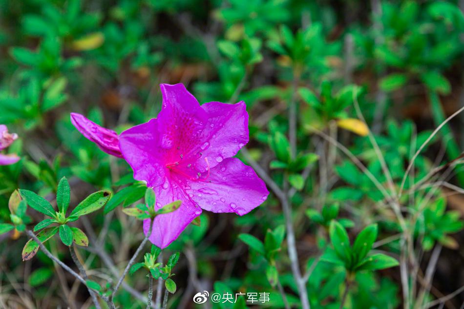 18禁止网站