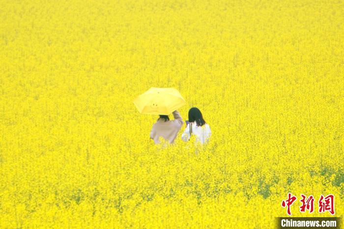 国产亲妺妺Xxxx