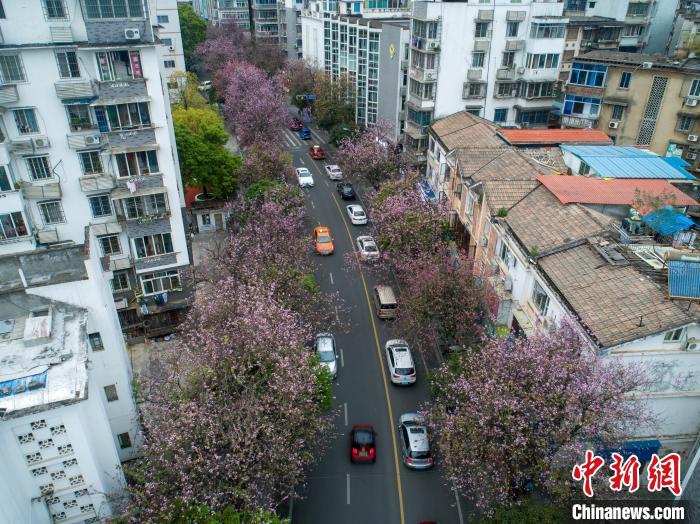 亲子乱婬一级A片