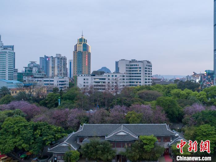 亚洲A级片