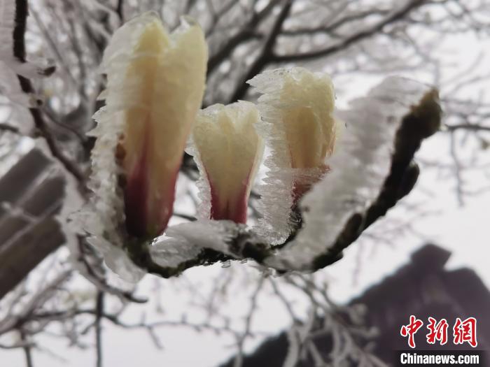 国产精品久久久久永久免费看