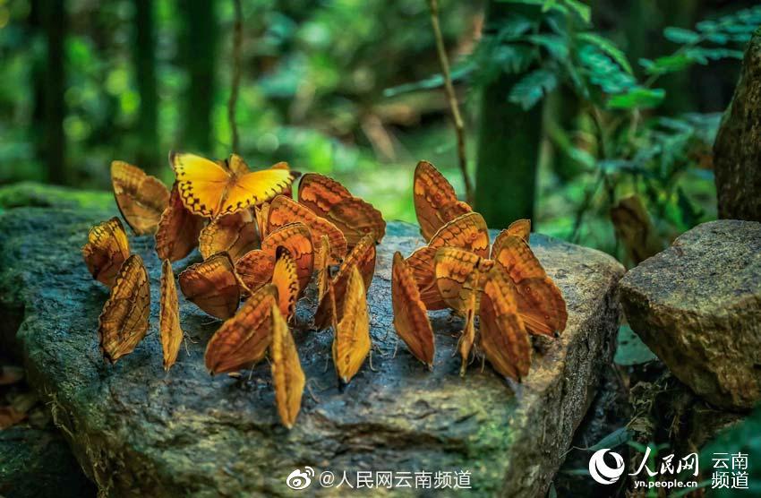 偷拍美女W0久久洗澡