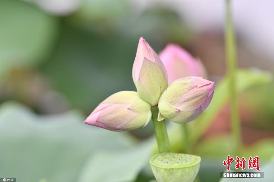 小婊孑啊轻点灬太粗太长了